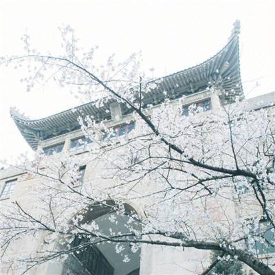 《广东省博物馆藏品大系·铜器与钱币卷》问世
